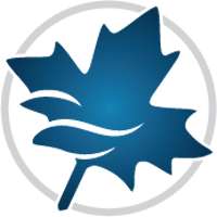 Maplesoft Maple Flow 2022.2