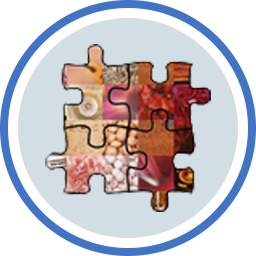 Mosaizer XVi 16.0.1.8