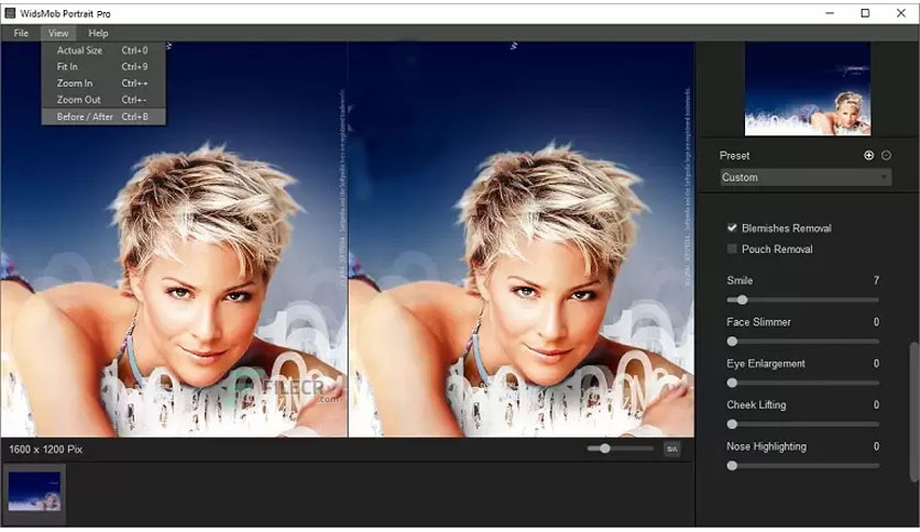 widsmob-portrait-pro-free-download-2