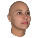 FaceGen Artist Pro 3.12