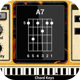 Applied Acoustics Systems Strum GS 2.4.4