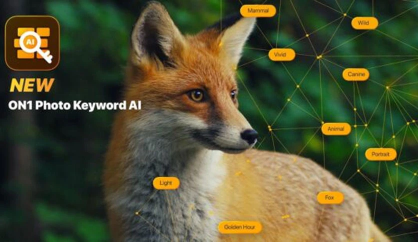 649139b241c4e-on1-photo-keyword-ai-FeatureImage