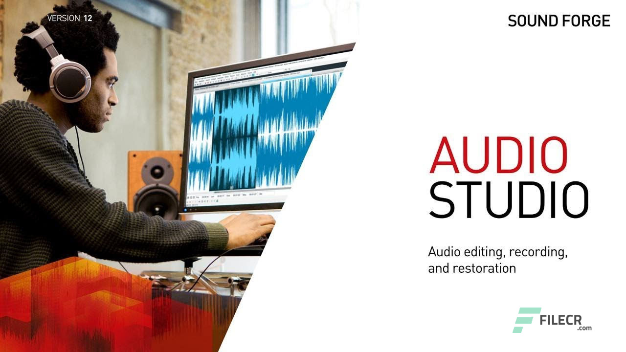 Scr1_MAGIX-SOUND-FORGE-Audio-Studio_free-download