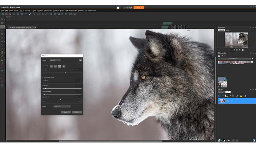 corel-paintshop-pro-ultimate-free-download-03