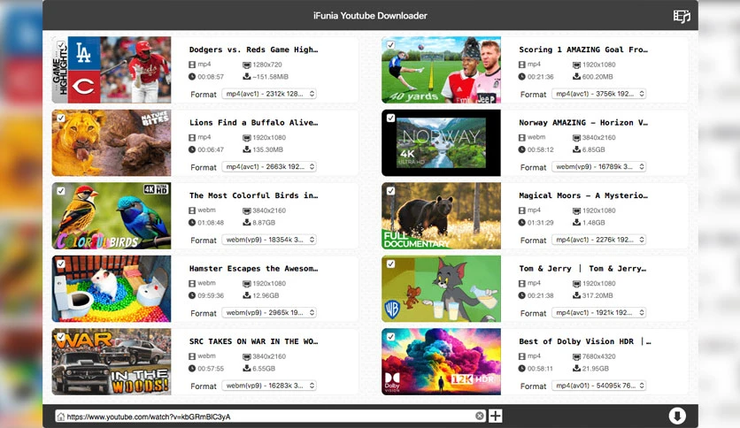 64b534e62bc8d-ifunia-youtube-downloader-FeatureImage
