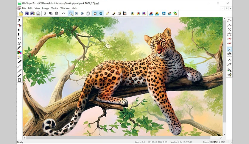64df5b21f23ff-wintopo-pro-FeatureImage