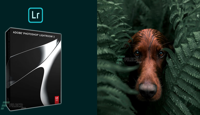 Adobe-Photoshop-Lightroom-2020-v3-Free-Download