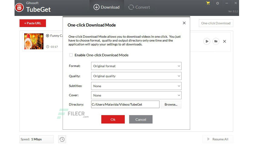 gihosoft-tubeget-free-download-02