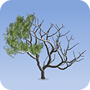 Pixarra TwistedBrush Tree Studio 5.05
