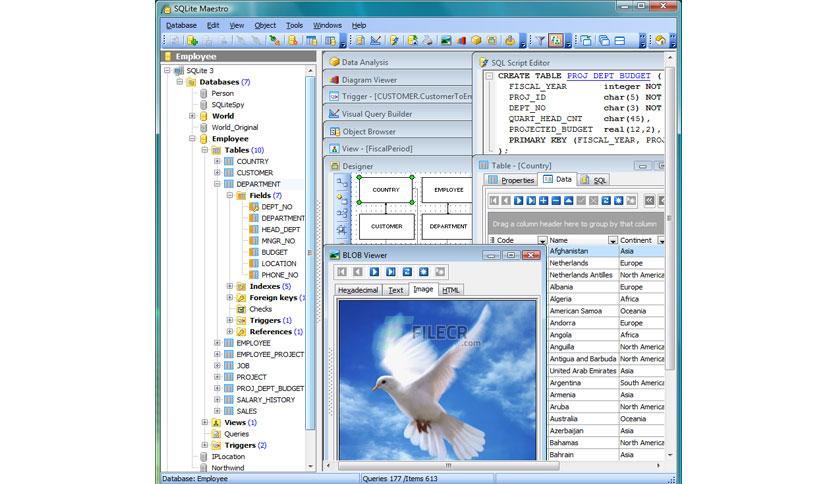 SQLite-Maestro-Free-Download-03