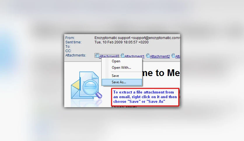 653b4d79655a8-message-viewer-lite-screenshot1