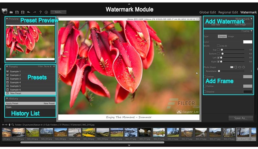 pt-photo-editor-pro-edition-free-download-03