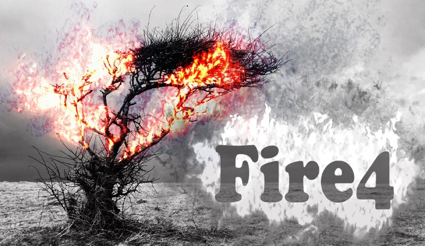 658e79fd1dc9a-alphaplugins-firefor-screenshot3