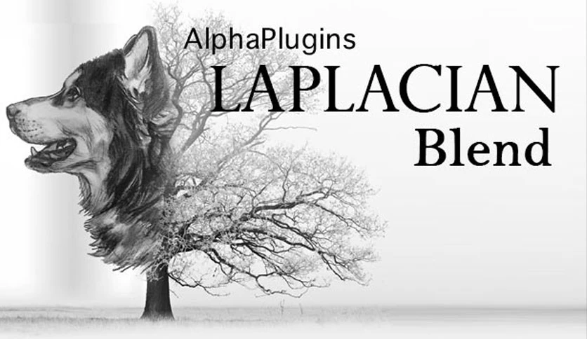 6592520beeb7a-alphaplugins-laplacian-blend-screenshot2