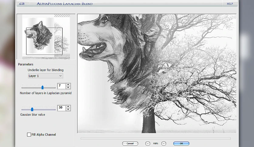 6592520c53412-alphaplugins-laplacian-blend-screenshot1