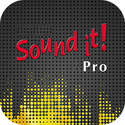 Internet Sound It Pro 9.01.4