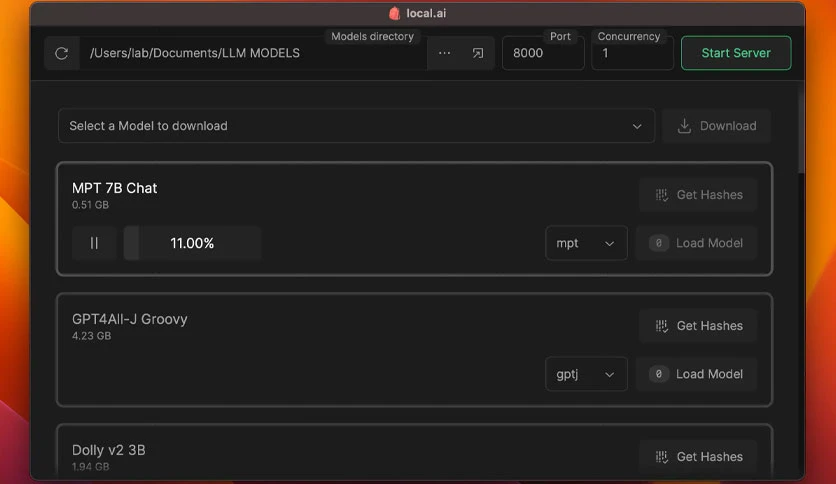 65c0d8c7834f0-local-ai-screenshot2
