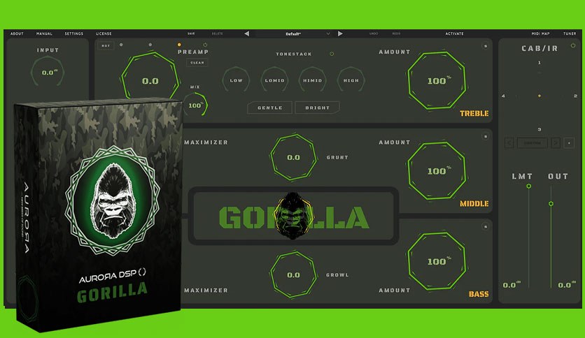 641af237d74a9-aurora-dsp-gorilla-FeatureImage