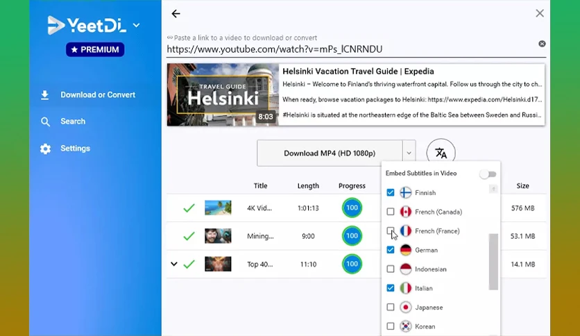 652627b21c5f7-yeetdl-premium-screenshot2