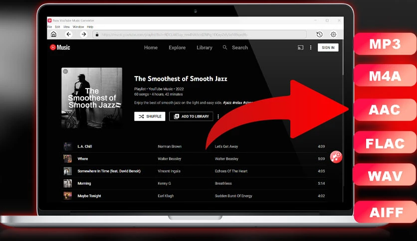 6593efe6ed9de-pazu-youtube-music-converter-FeatureImage