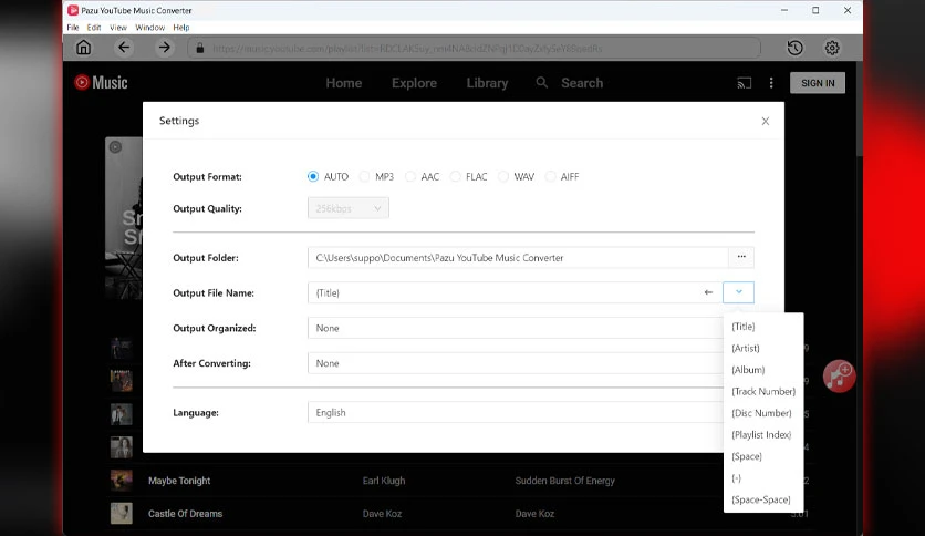 6593efe42bb1e-pazu-youtube-music-converter-screenshot1