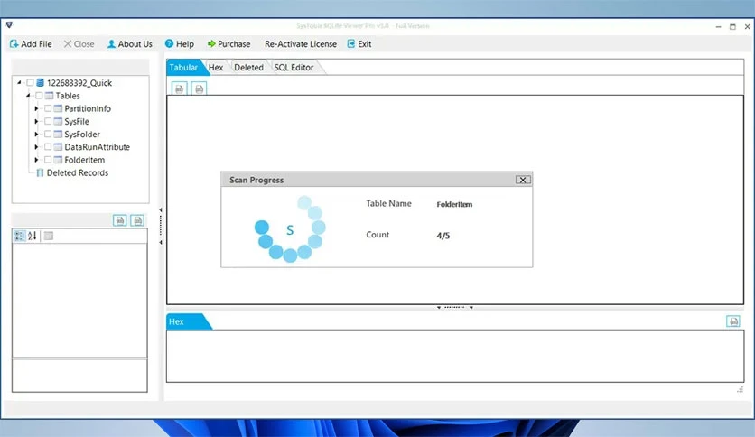 66e27da05c524-systools-sqlite-viewer-pro-screenshot1