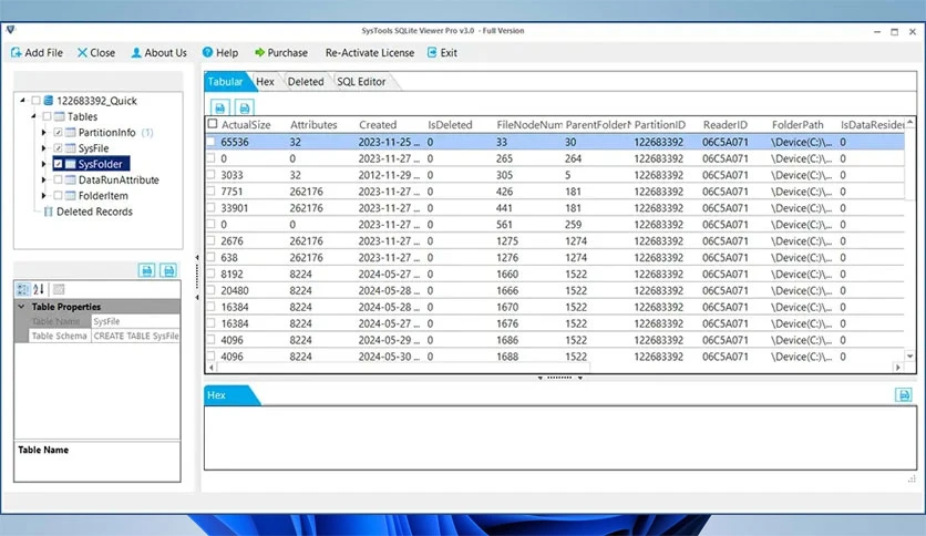 66e27da2dae5b-systools-sqlite-viewer-pro-screenshot3