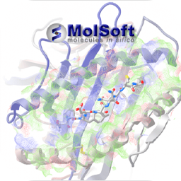 Molsoft ICM-Pro 3.9-4