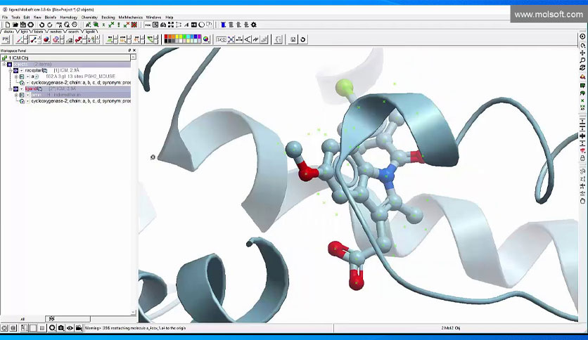 64401956dcc00-molsoft-icm-pro-v3-9-3a-screenshot2
