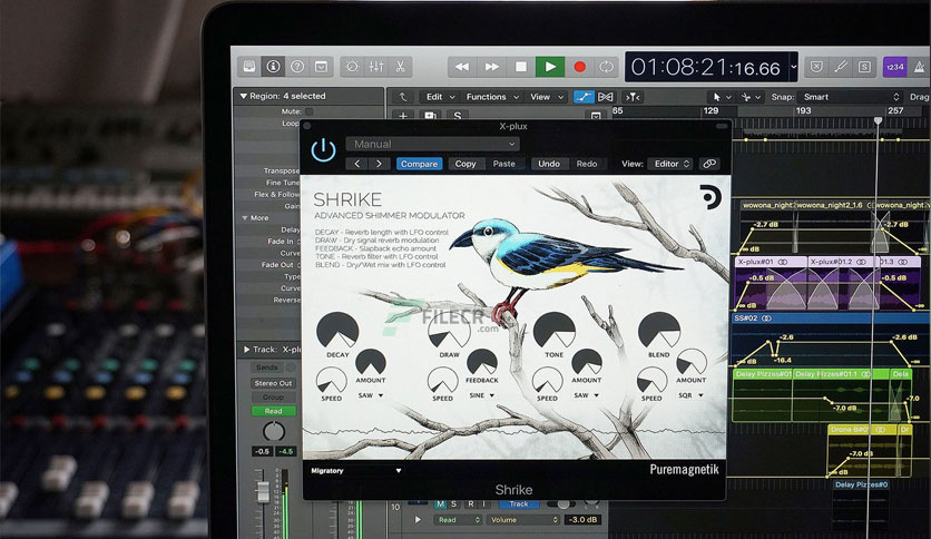 puremagnetik-shrike-free-download-01