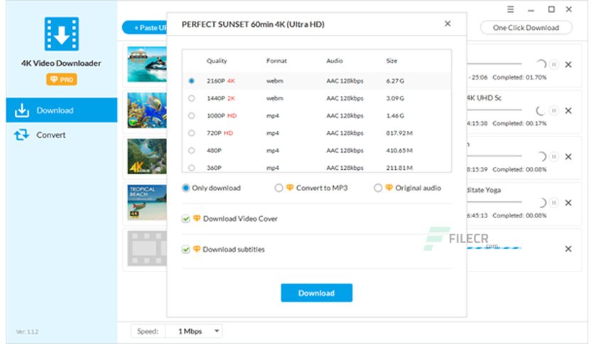 jihosoft-4k-video-downloader-pro-free-download-02