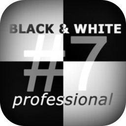 Franzis BLACK & WHITE Professional 8.25.04078