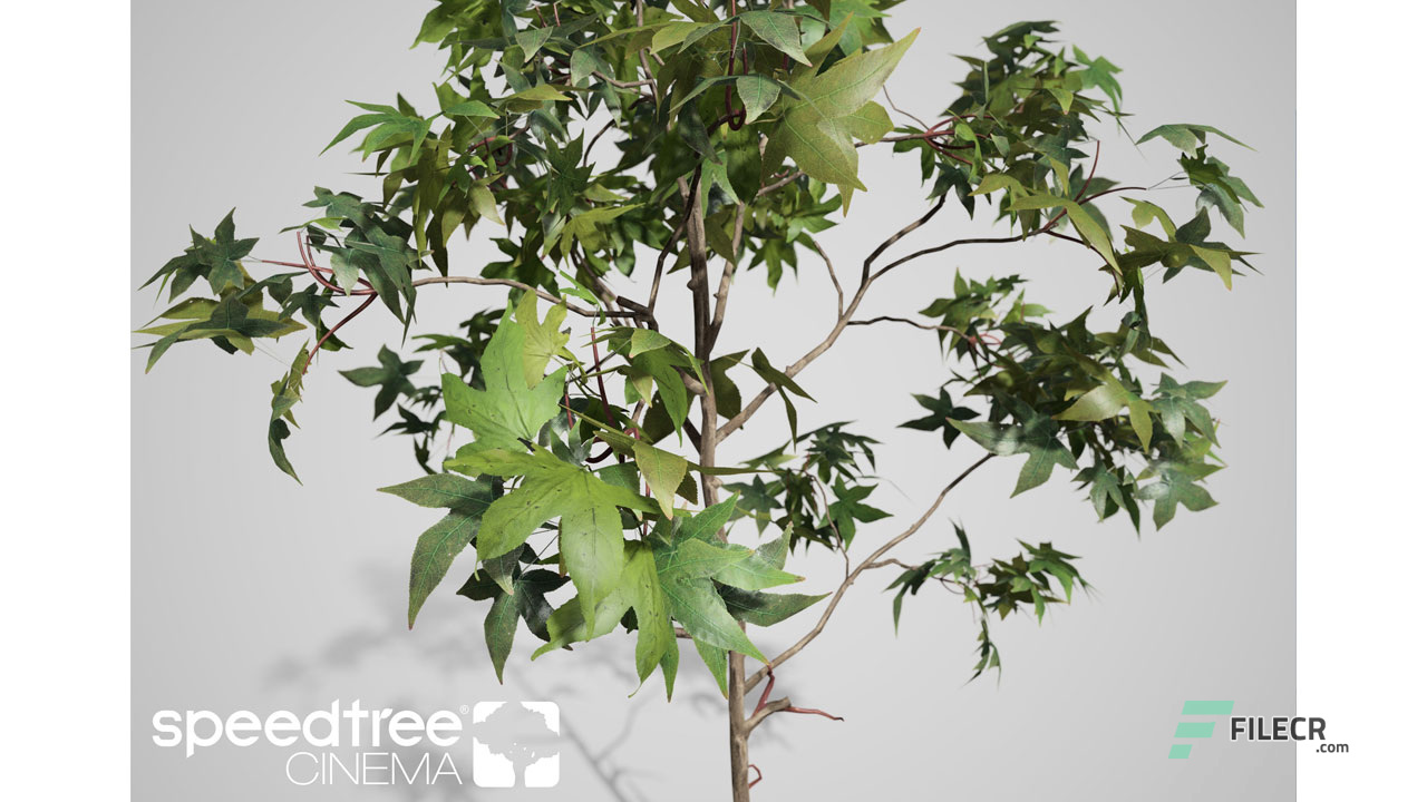 Scr2_SpeedTree-Cinema_free-download