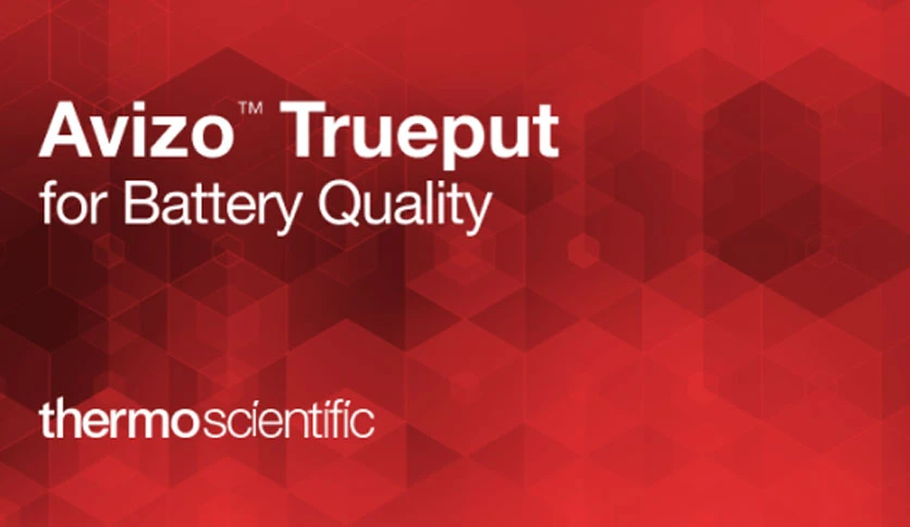 6704d5919b738-avizo-trueput-software-FeatureImage