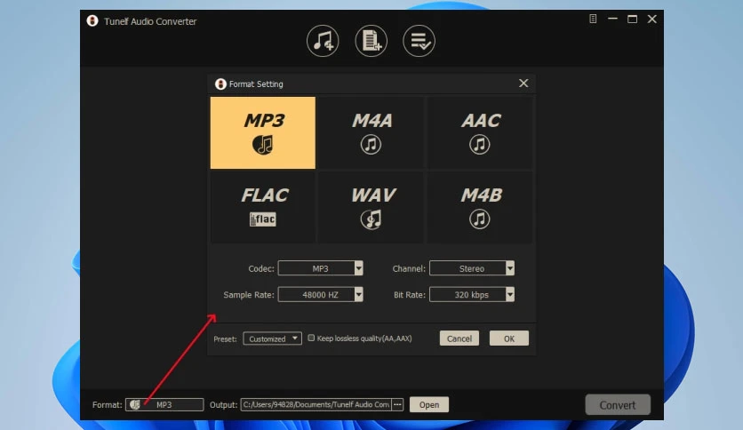 67077c8be9e20-tunelf-audio-converter-screenshot2