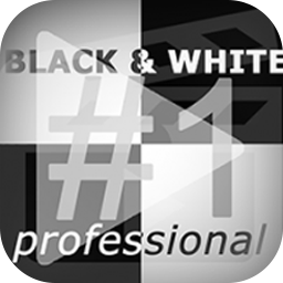 Franzis BLACK & WHITE Video #2 Professional 2.25.04078