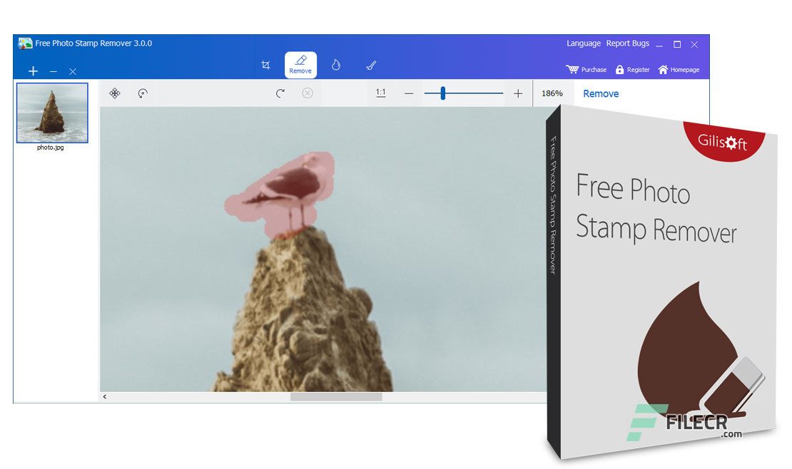 GiliSoft-Photo-Stamp-Remover-4-Free-Download