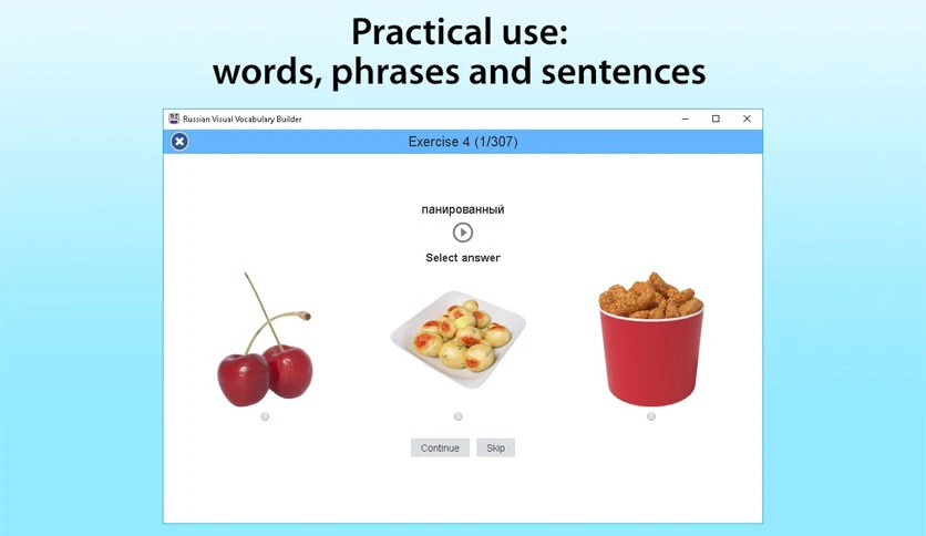 657a8a8e84259-russian-visual-vocabulary-builder-screenshot2