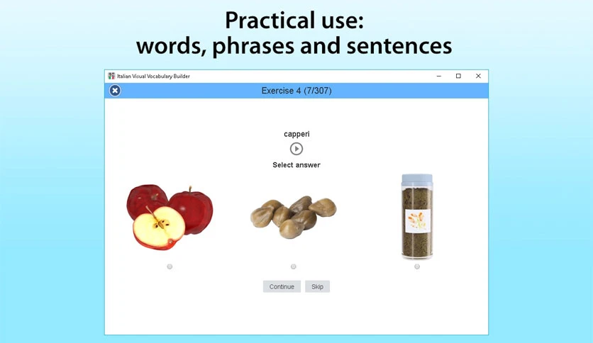 6579a0635cf8e-italian-visual-vocabulary-builder-screenshot2