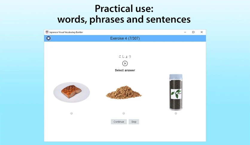 657a87fe3538e-japanese-visual-vocabulary-builder-screenshot1