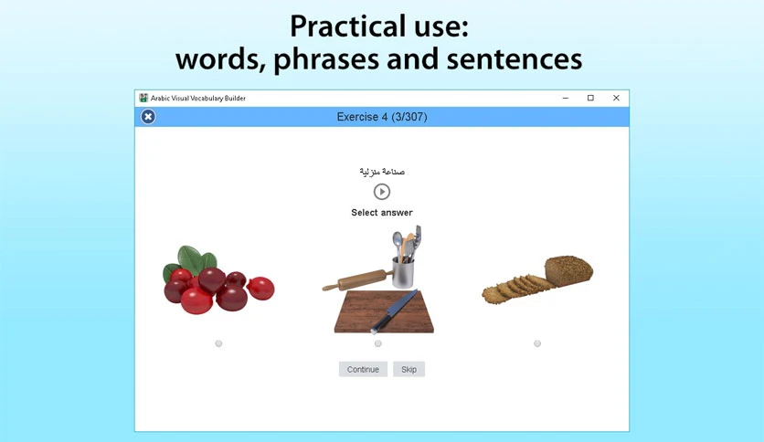 6579698e0c893-arabic-visual-vocabulary-builder-screenshot3