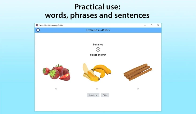 65a7a6b233280-french-visual-vocabulary-builder-screenshot4