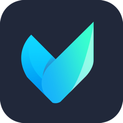 Vidmore Video Converter 1.3.60
