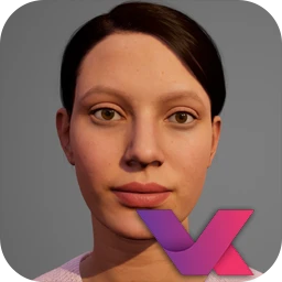 VA – Build Your AI Assistant 13.1