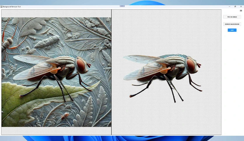 67b808d0b928f-megaish-background-remover-tool-screenshot2