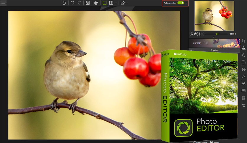 InPixio-Photo-Editor-10-Free-Download