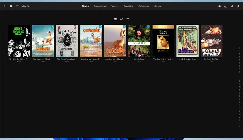 67d445630e563-jellyfin-media-player-screenshot1