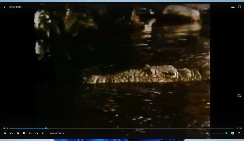 67d4456338d32-jellyfin-media-player-screenshot2