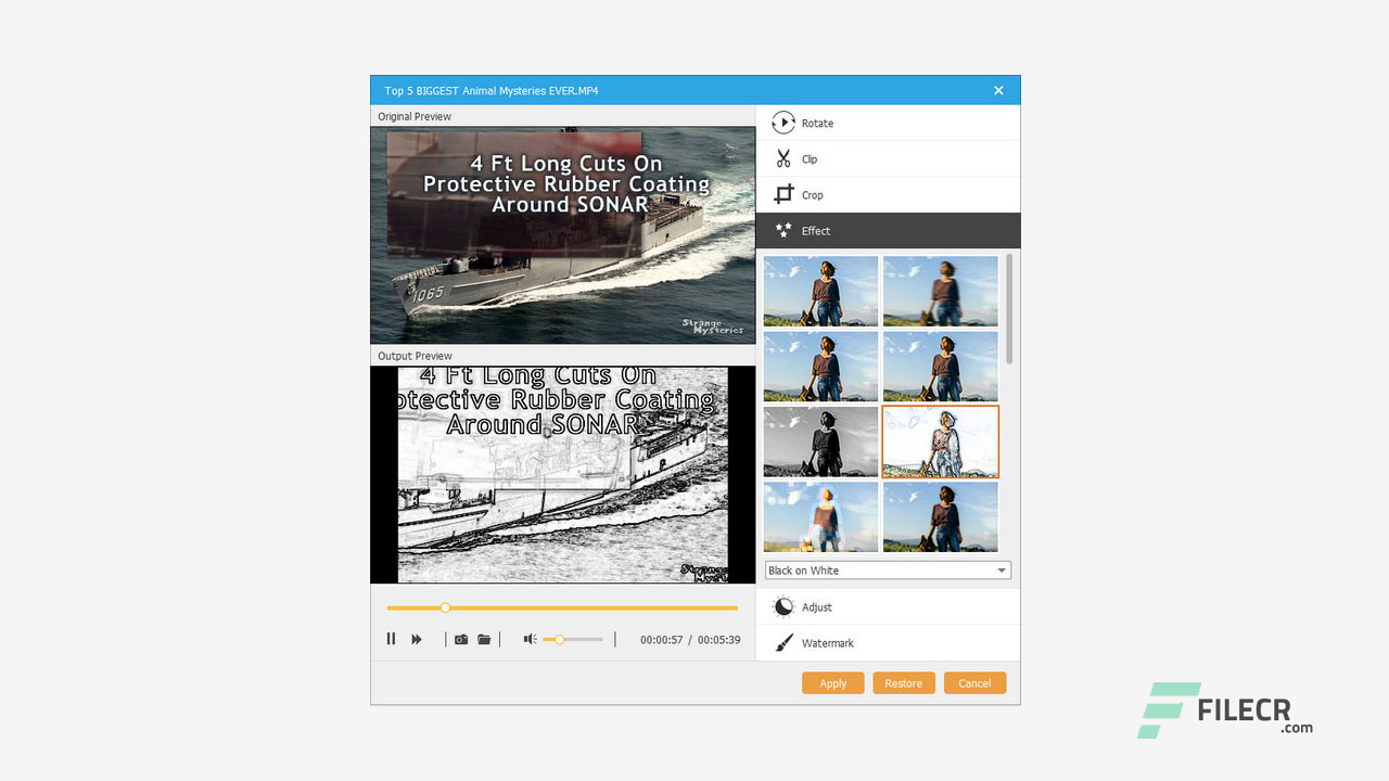 Scr6_AnyMP4-DVD-Creator_free-download