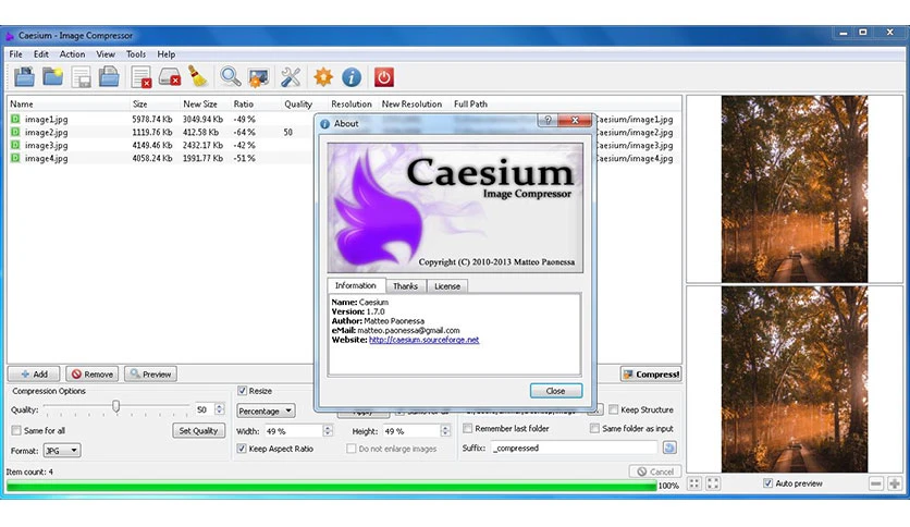 64a258e28f3a9-caesium-image-compressor-screenshot2